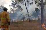 Man dressed in fire PPE looking out over fires in bushland