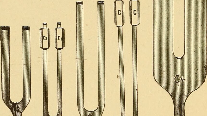 An illustration of a series of tuning forks