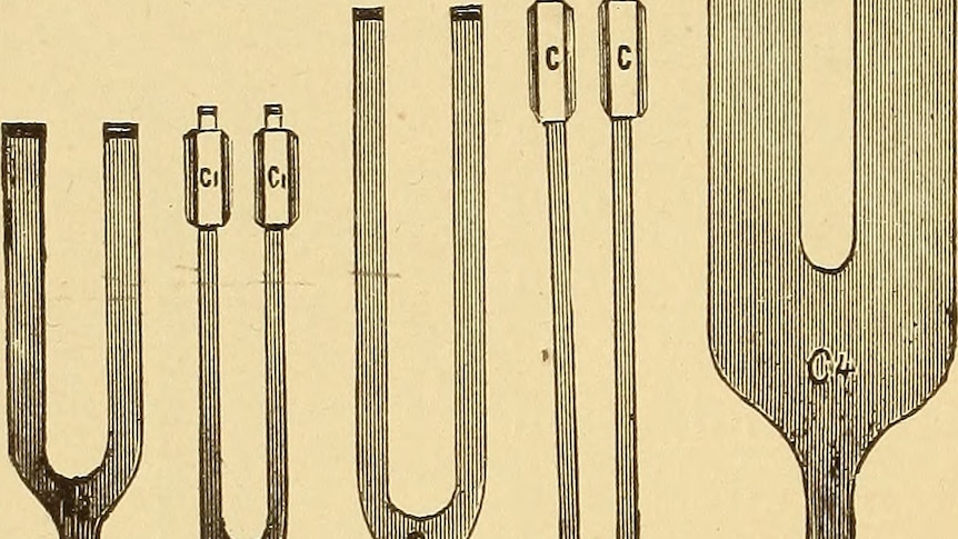An illustration of a series of tuning forks