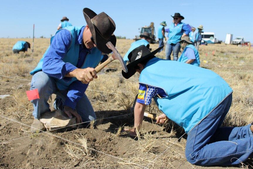 Outback Queensland grazier kneels in dirt, alongside son, using pick to dig for fossils.