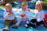 Three babies sitting on a mat together eating watermelon.