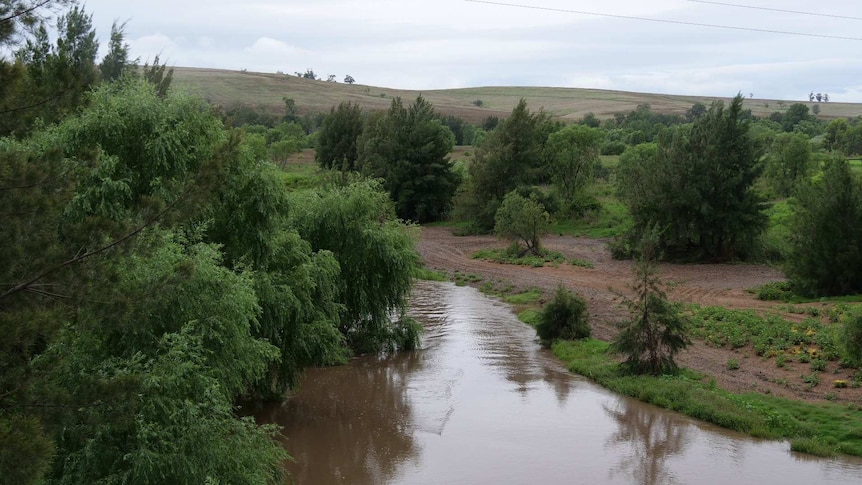 A river flows through a valley with green trees on either side and green hills in the background.