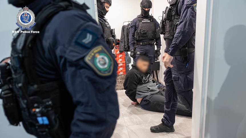 new south wales police as part of taskforce magnus arrest a man who is sitting down on the ground with handcuffs