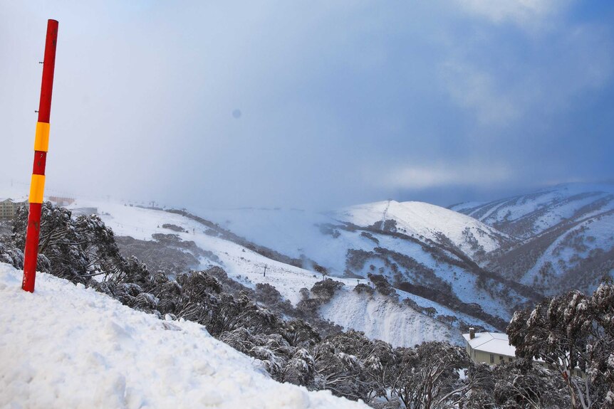 Snow covering the slopes of Mount Hotham.