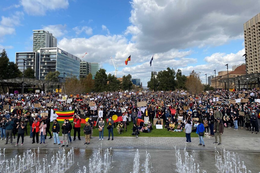 A large crowd at Adelaide's Victoria Square, demonstrating in support of the Black Lives Matter movement.