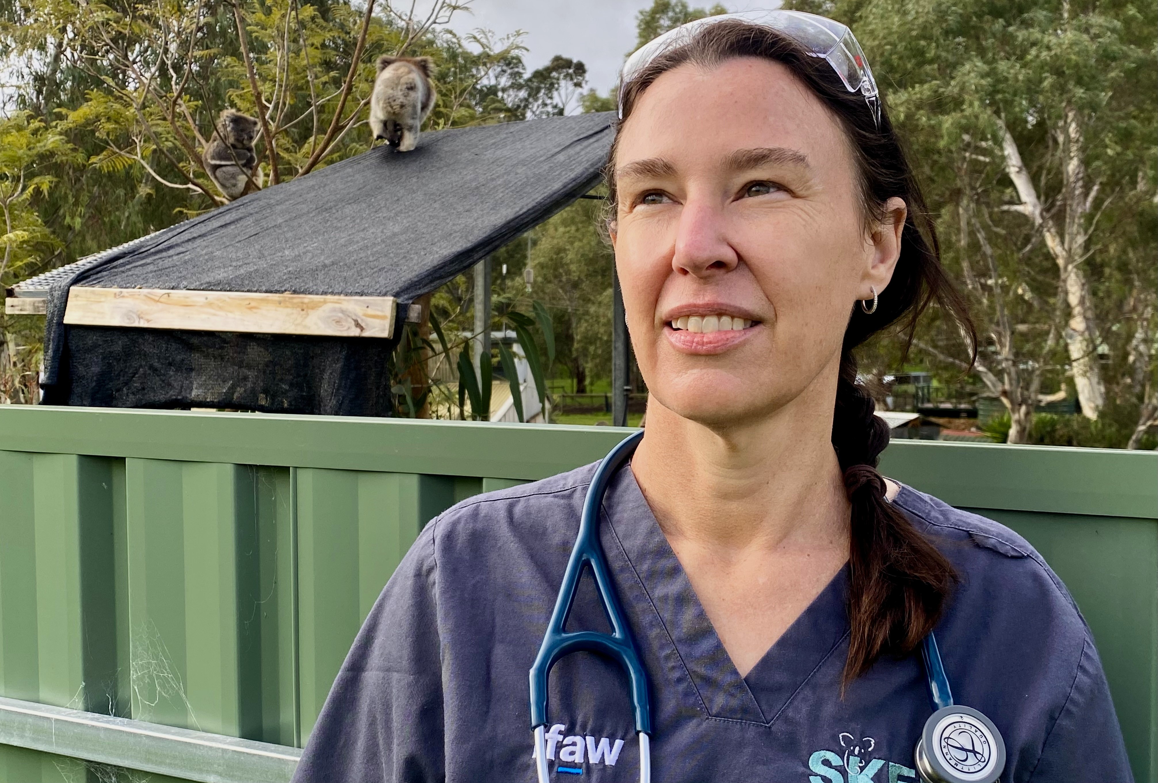 A woman wearing a stethoscope and scrubs smiles and looks to the distance. A koala is climbing on a structure behind her.