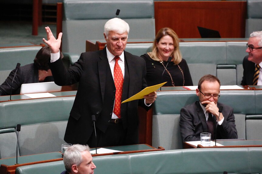 Bob Katter gestures enthusiastically in the House of Representatives. Rebekha Sharkie smiles behind him, Adam Bandt giggles.