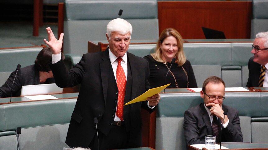 Bob Katter gestures enthusiastically in the House of Representatives. Rebekha Sharkie smiles behind him, Adam Bandt giggles