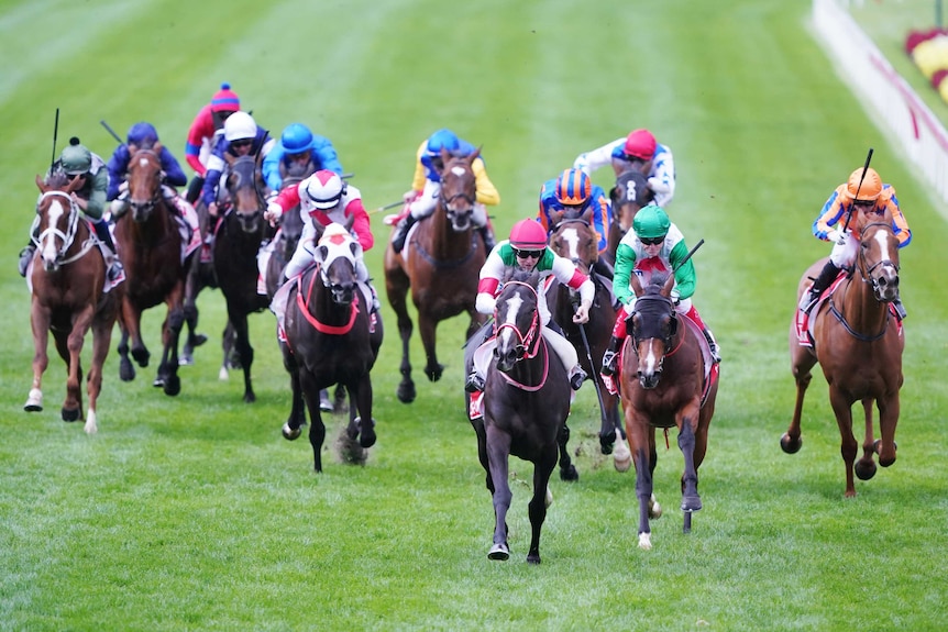 A jockey rides a horse out front to victory in the Cox Plate.