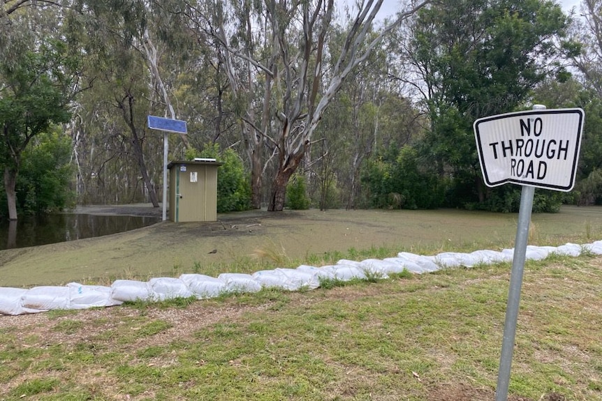 a sandbag levee