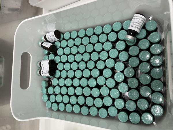 A white plastic tub is filled with dozens of small vials of semaglutide.