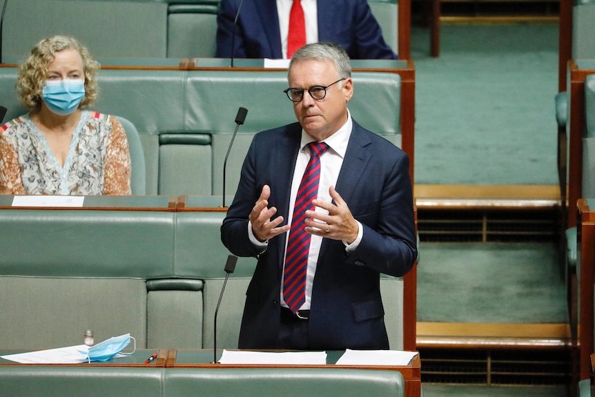 Joel Fitzgibbon gestures with his hands and looks serious as he speaks in the House of Representatives.