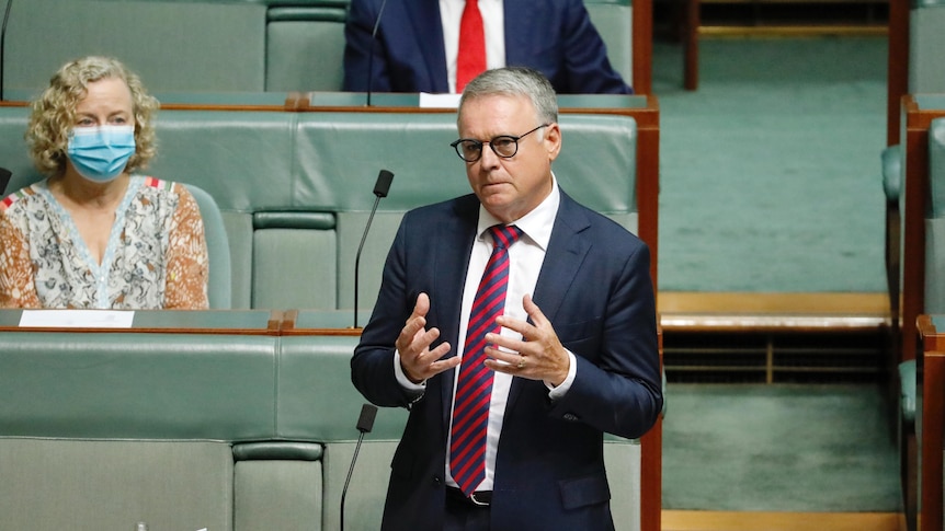 Joel Fitzgibbon gestures with his hands and looks serious as he speaks in the House of Representatives.