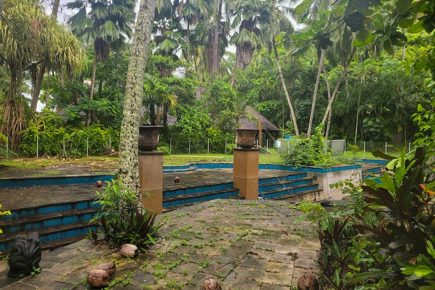 A patio area with palm trees and fallen coconuts with grass growing through the pavers