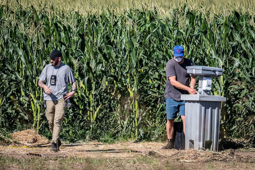 Two production staff members, one wearing a face mask, are seen in a cornfield.