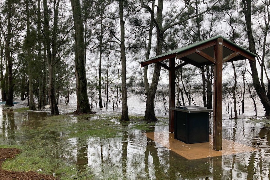 Trees and flood waters with a park bench