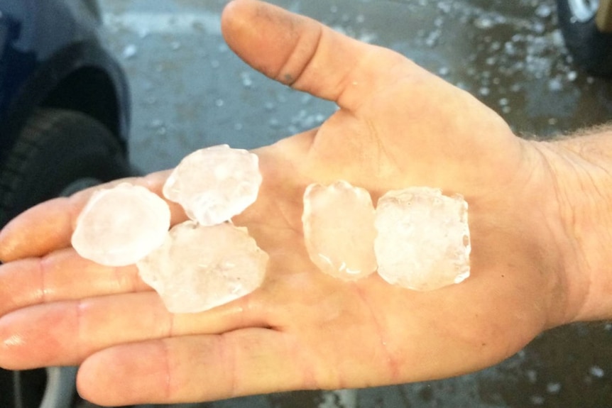 Golf ball-sized hail stones in a person's hand after storm at Gympie in southern Queensland.