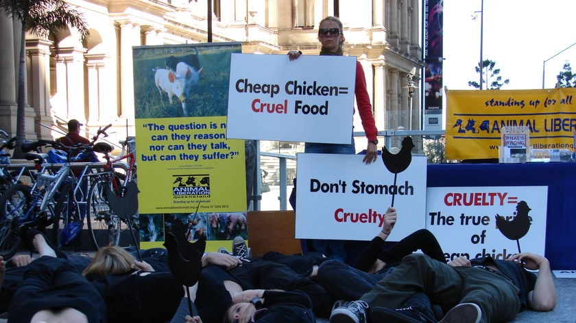 The protest was staged across the river from the World Poultry Congress, which is being held in Brisbane this week.