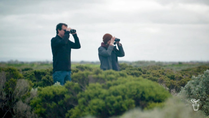 Man and woman standing in scrubland looking through binoculars