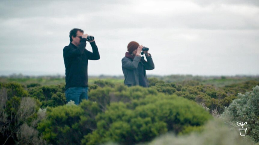 Man and woman standing in scrubland looking through binoculars
