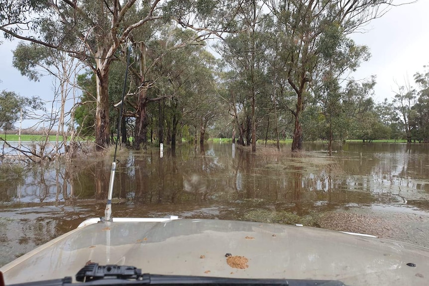 A car bonnet in front of a flooded crossing in bushland.