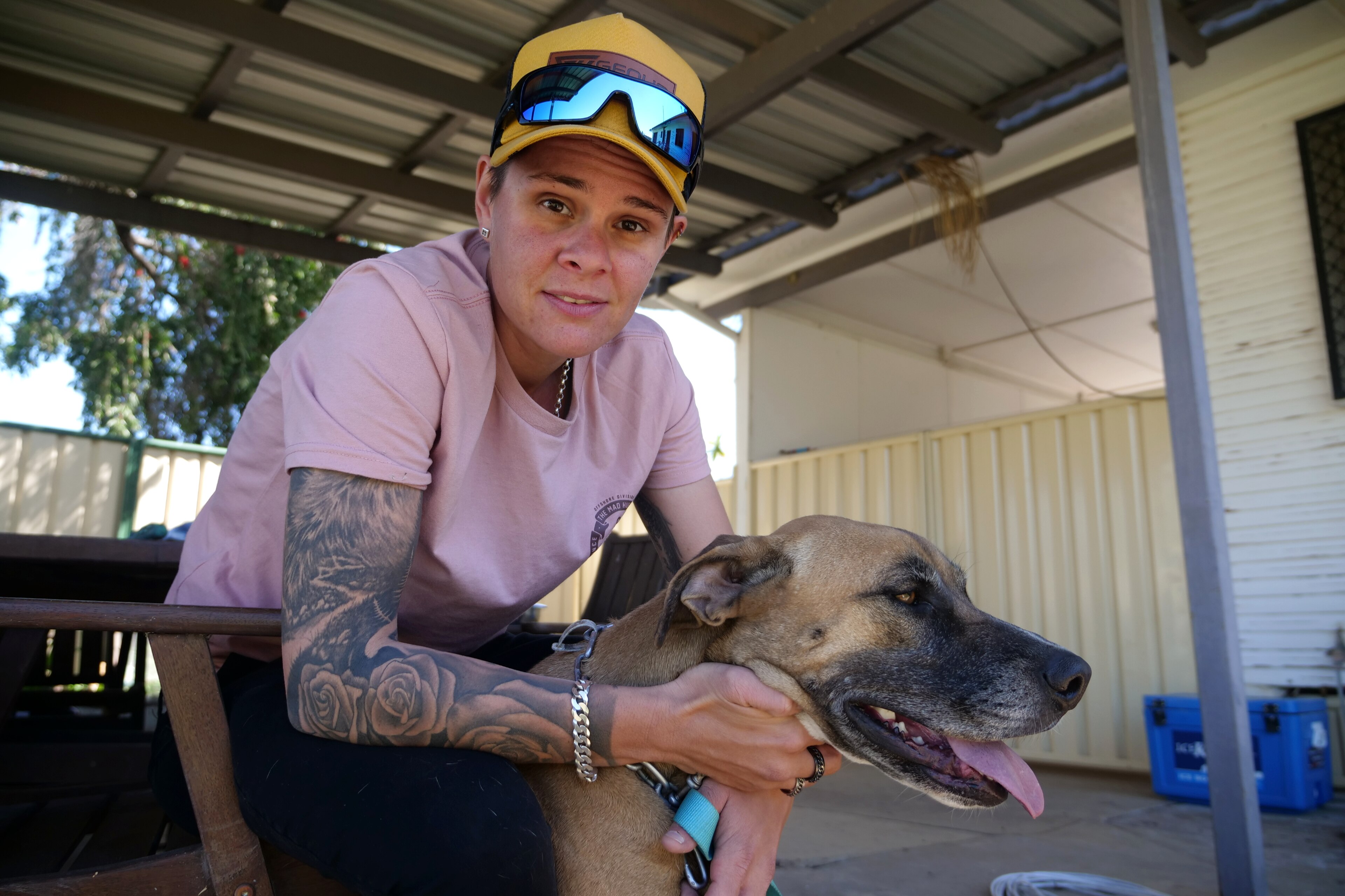 What Dogs Are Banned In Queensland