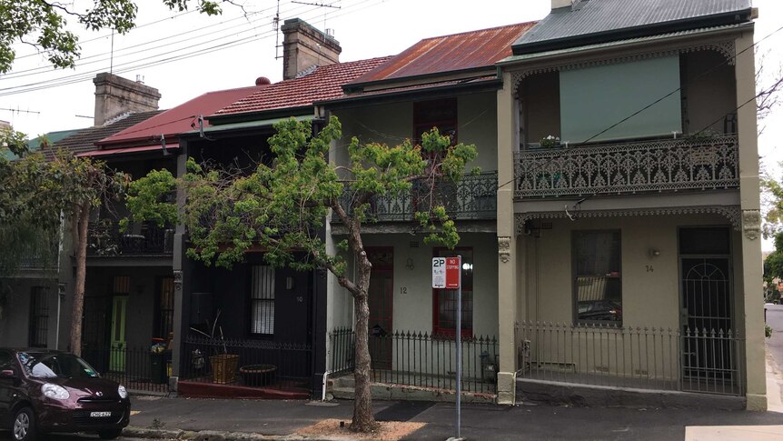 A new draft planning document calls for more terrace-style housing to be built in Sydney.