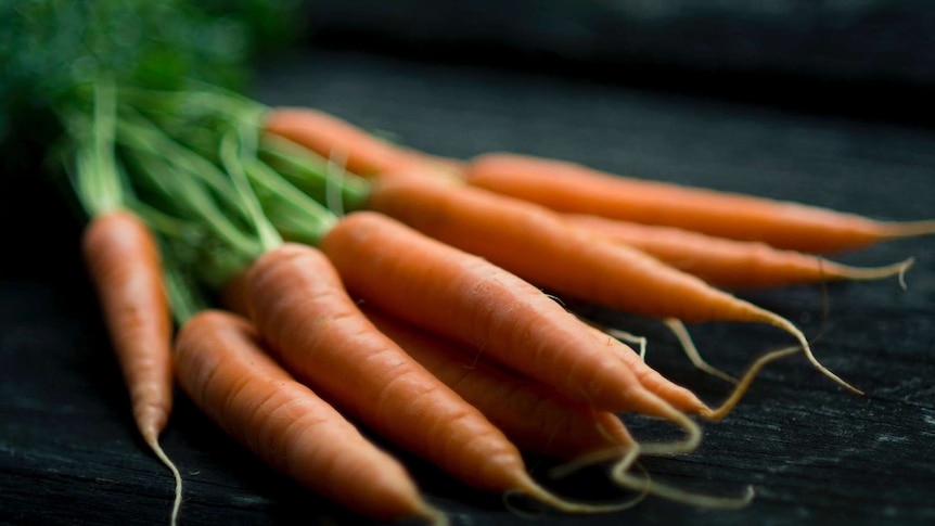 Bunch of small carrots for story about what to plant when