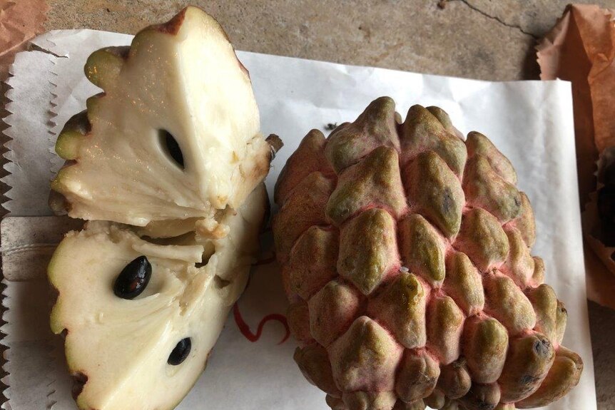 A green pink skinned custard apple cut open to show its creamy interior.