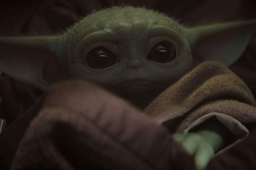 A screengrab of Baby Yoda as seen in The Mandalorian.