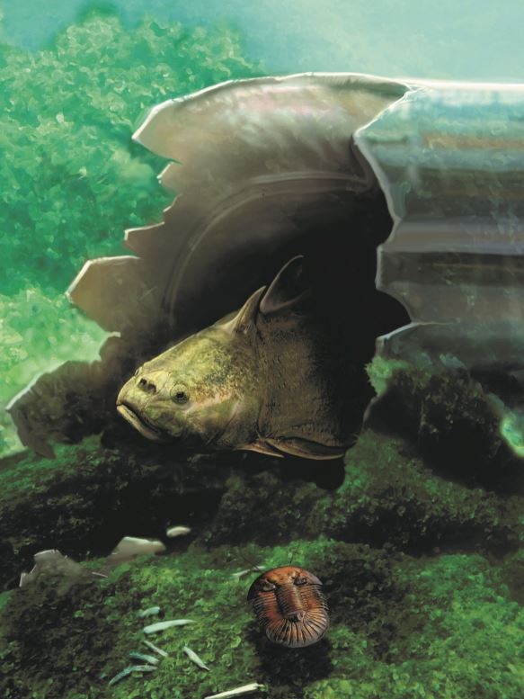 Artist impression of primitive fish Radotina that lived during the Devonian, 409 million years ago