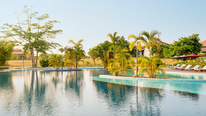 A view of a pool with palm trees. 
