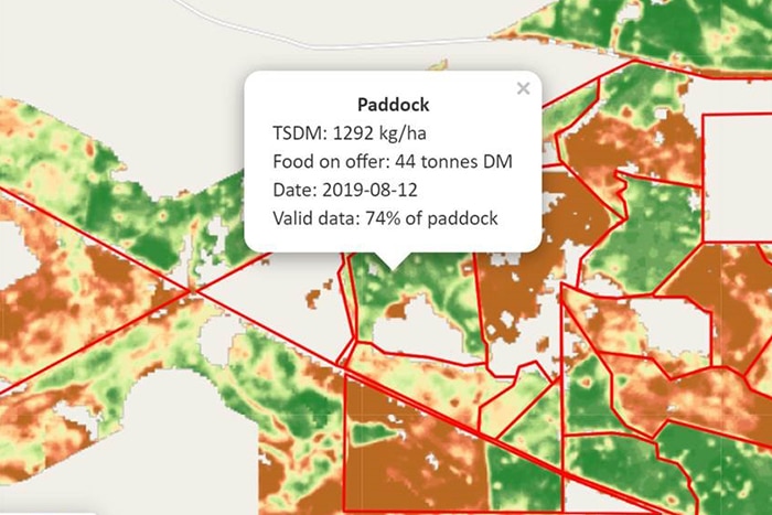 A readout from a biomass map giving the amount of stock food on offer