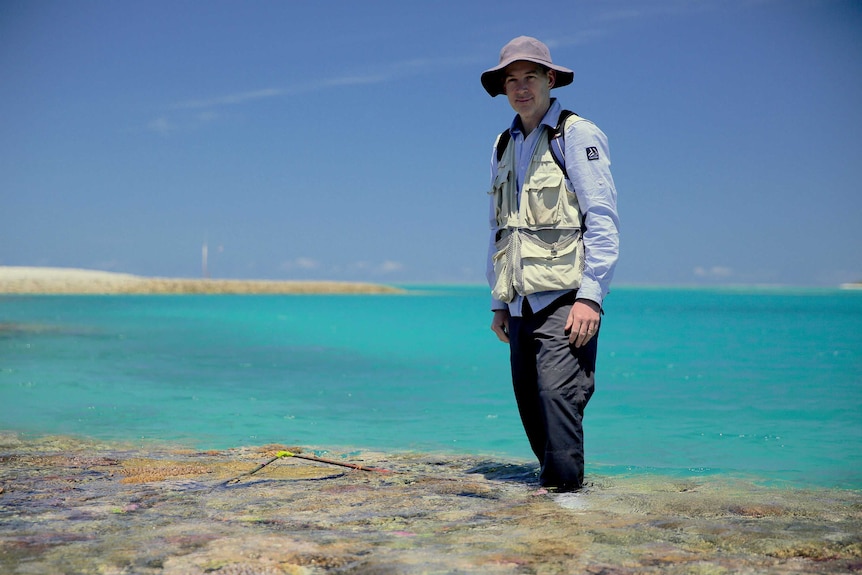 Associate Professor Jody Webster in the water at One Tree Island