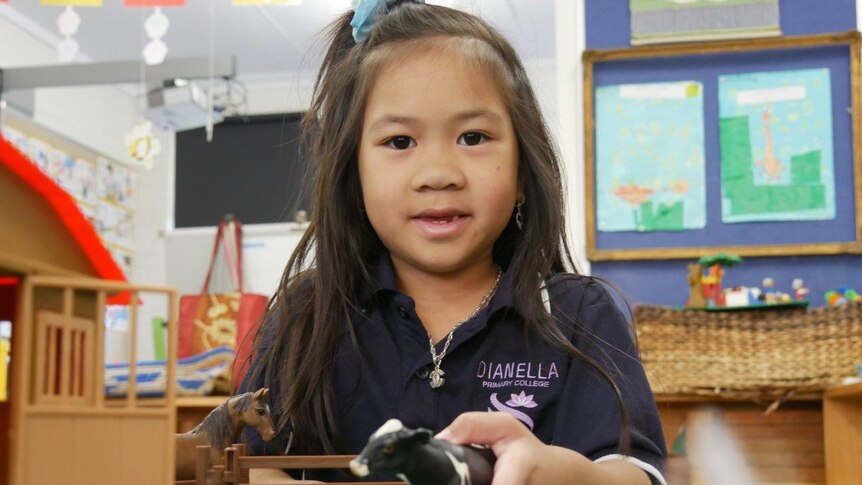 A female pre-primary student poses for a photo in class while playing with toy farm animals.