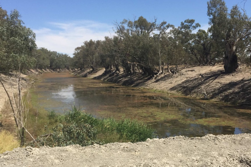 The Darling River from a block bank.