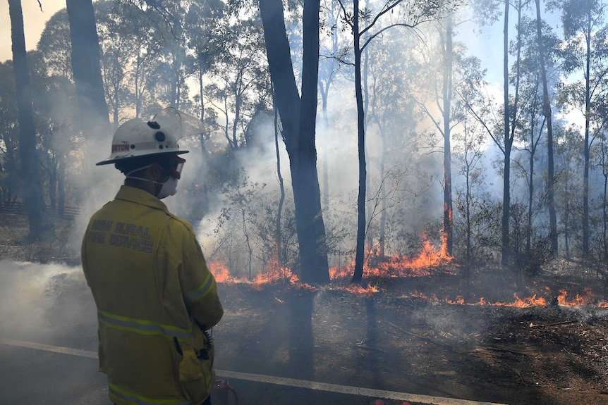 A firie standing in front of flames in smoky bushland.