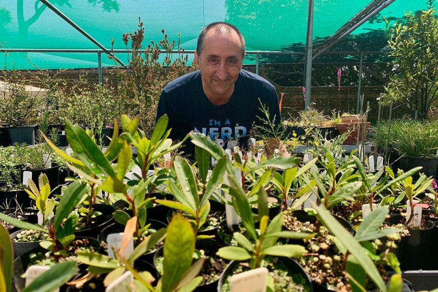 A man is standing behind a number of small plants in shrubs in a nursery looking at the camera