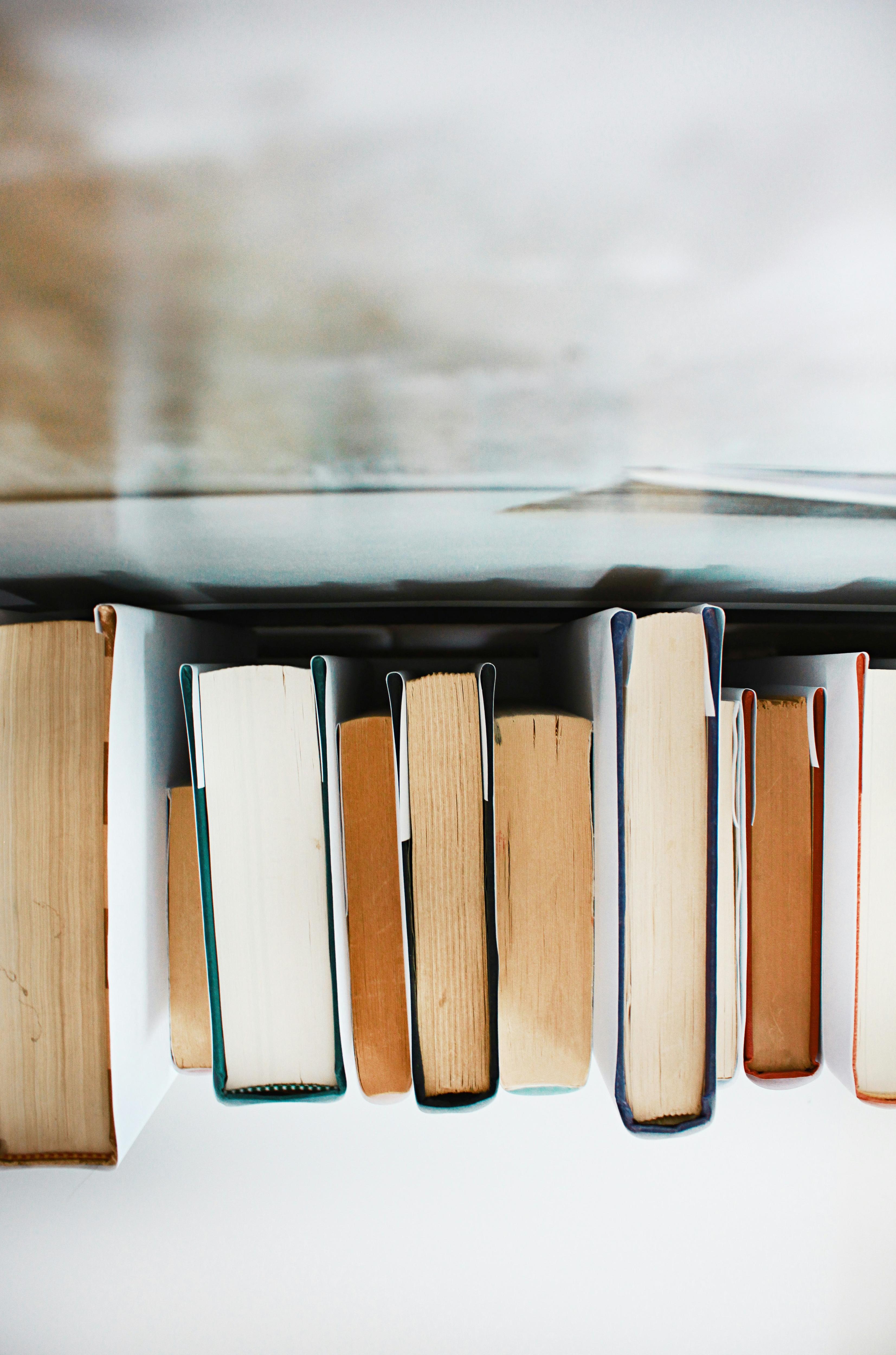 The Bookshelf
