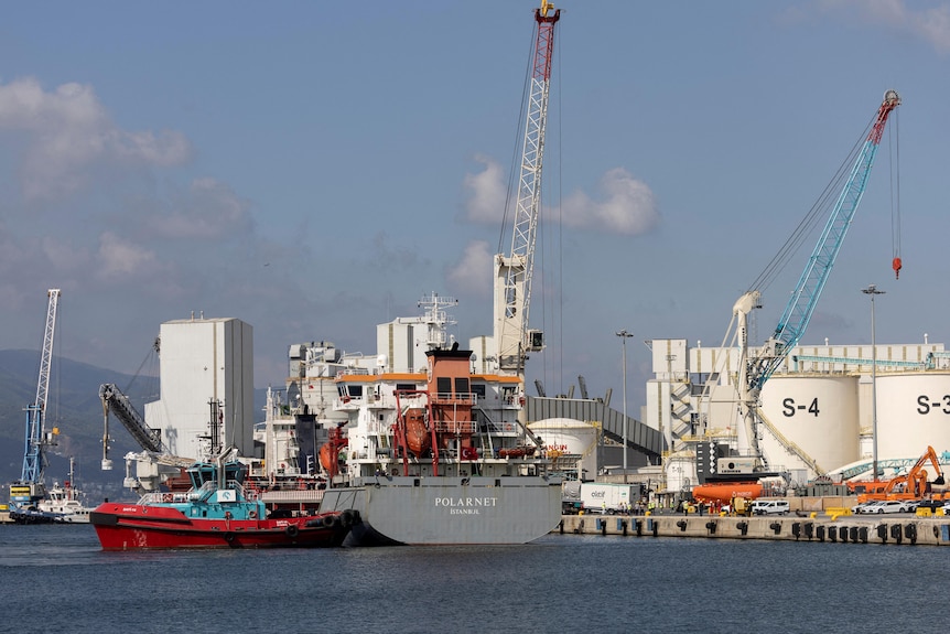 Turkish-flagged cargo ship Polarnet, carrying Ukrainian grain, reaches its final destination at the Kocaeli province, Turkey.