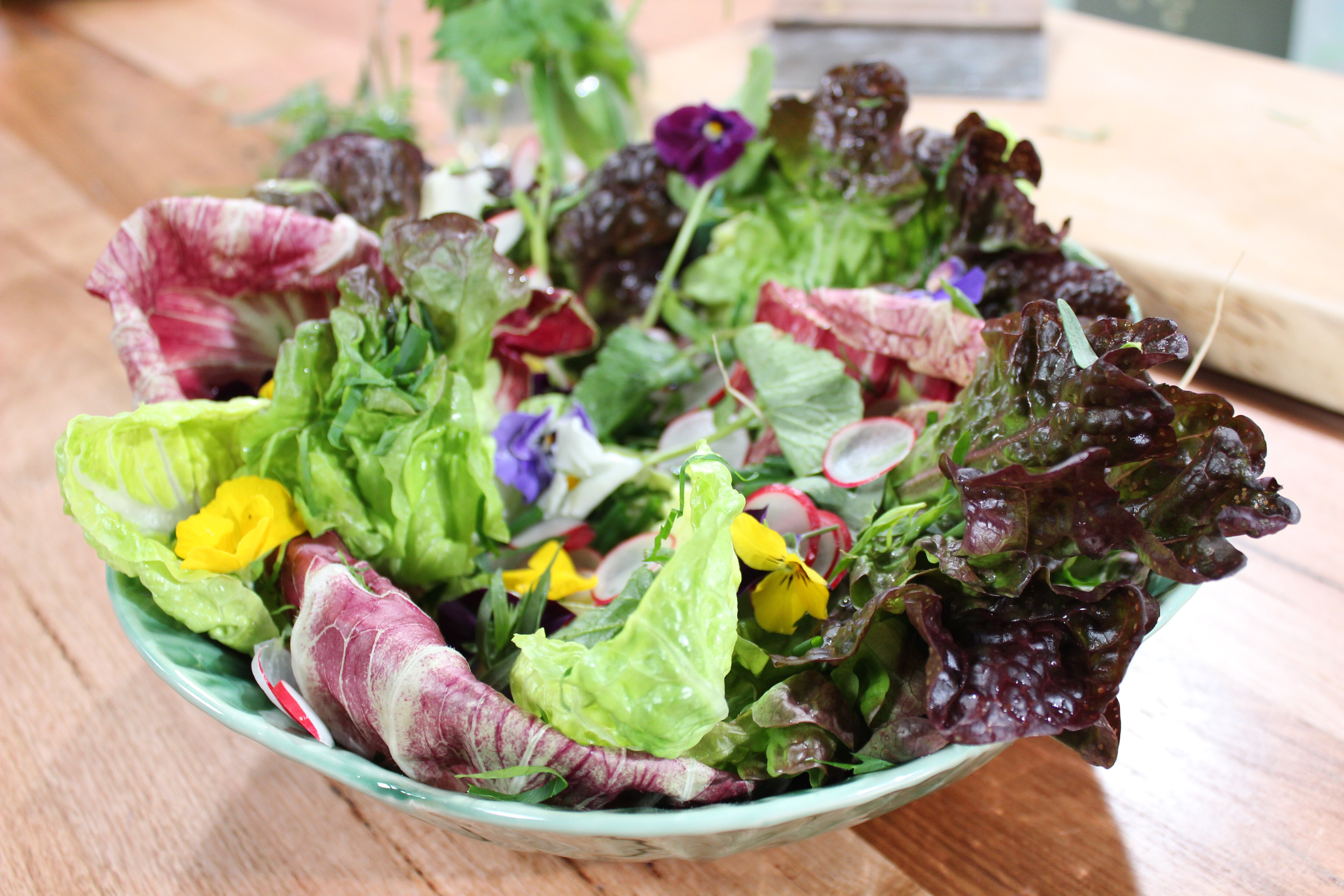bistro salad with anchovy aioli finished dish in serving bowl on bench top