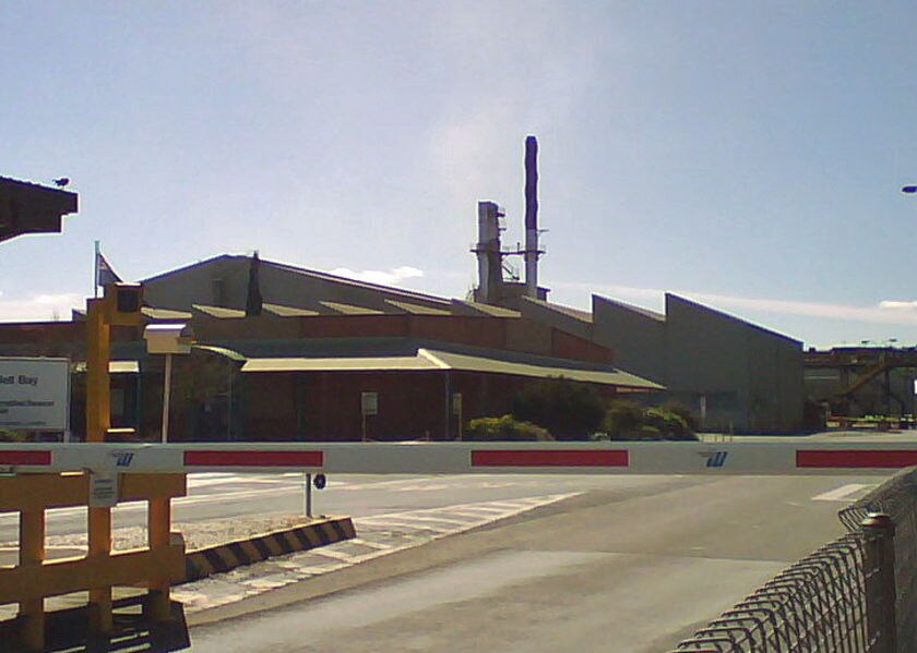 Tasmanian talks on international shipping service ABC News