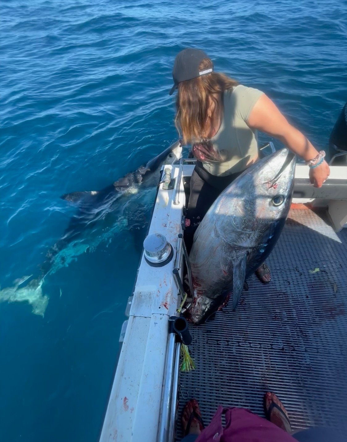 A woman on a boat looks back at a great white shark on the water, with a tuna in her lap