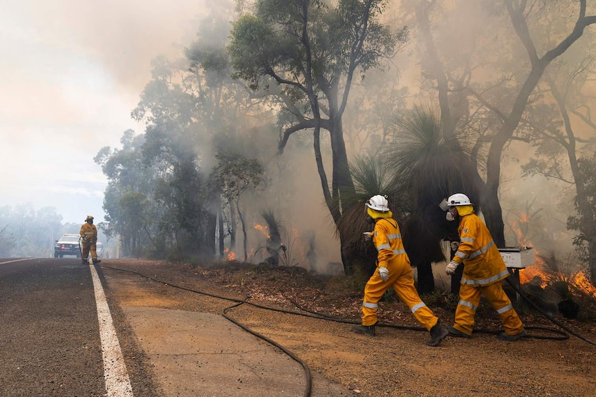 Three firefighters fight flames running alongside a road in Perth.