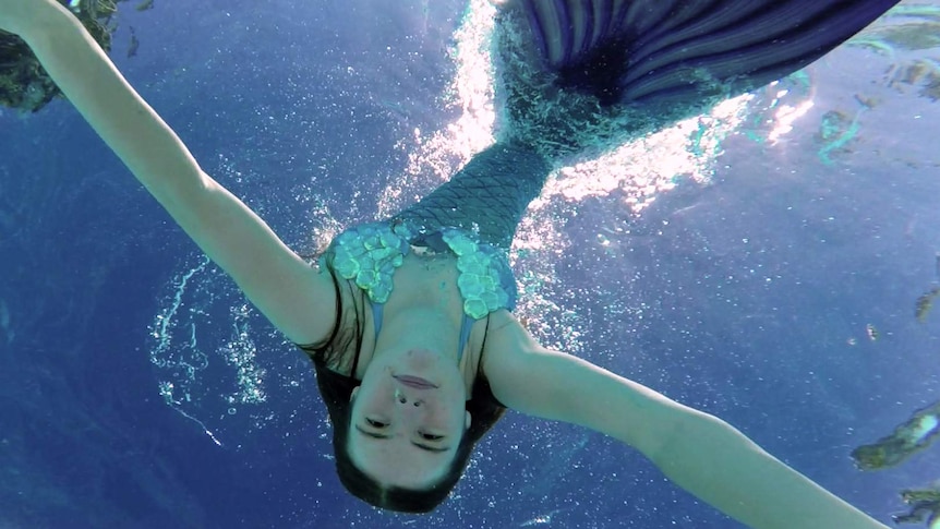 A young woman dressed as a mermaid swims toward the bottom of the pool