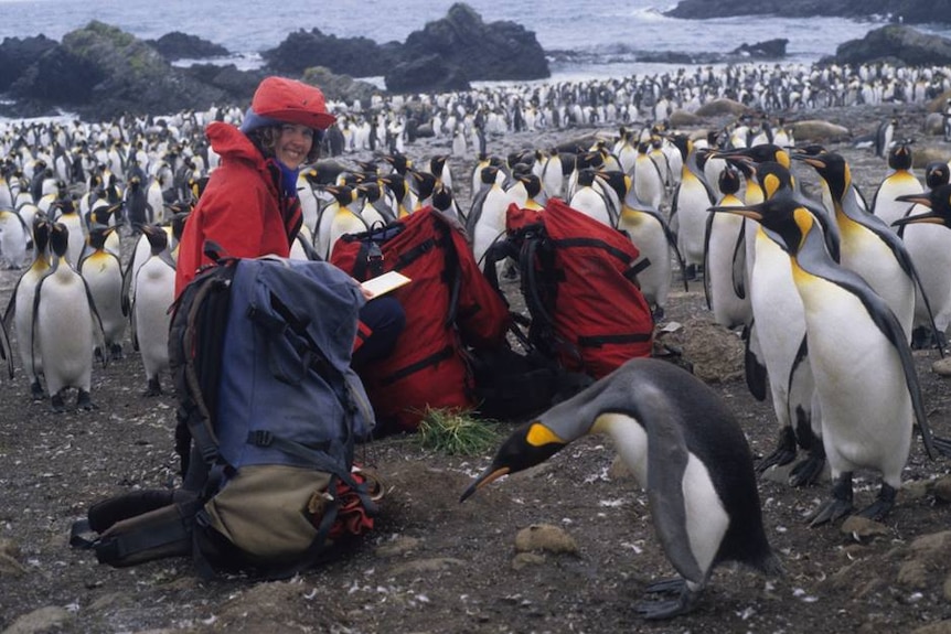 Dana Bergstrom with penguins in Antarctica.