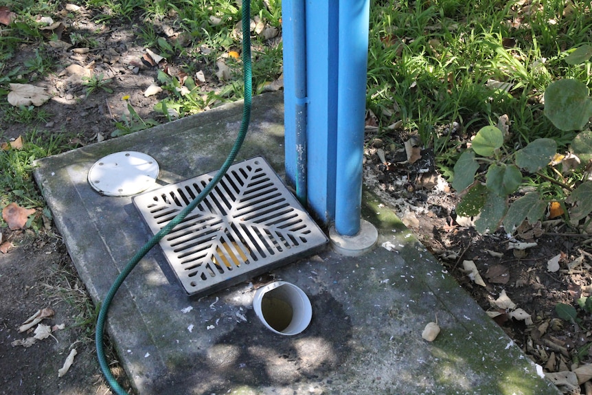 hole in ground at local dump spot