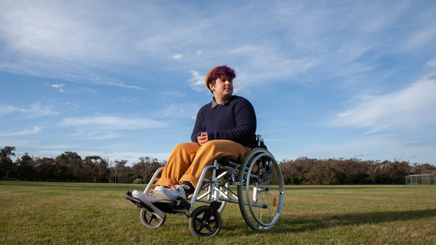 A man with purple hair sits in a wheelchair in a park.
