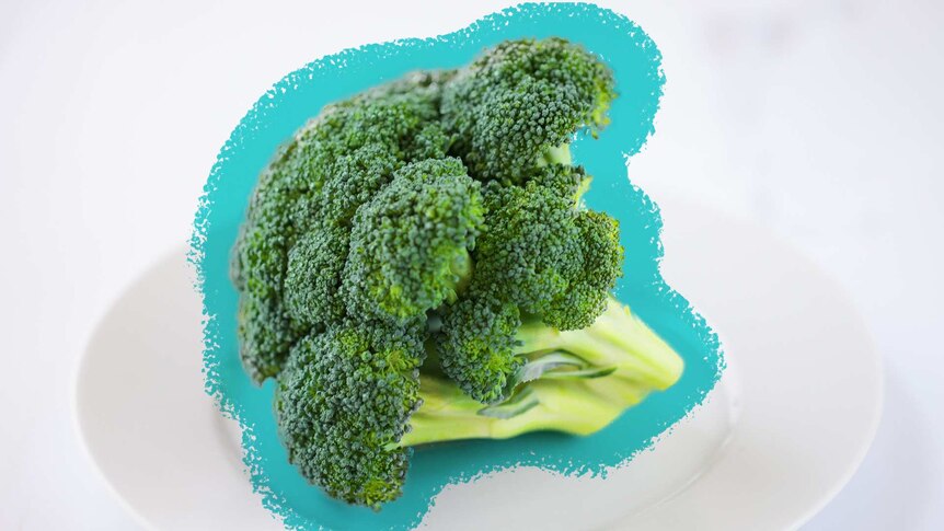 Photo of broccoli with illustrated background for a story about how to make vegetables last longer.