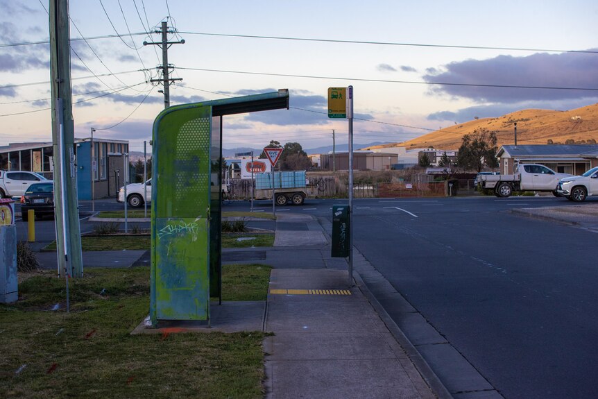 A green metal bus shelter on a suburban road in early morning light